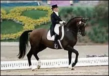 How do you translate 'paule en dedans' in english ?