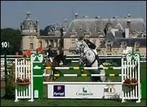 Comment traduit-on 'to jump' en franais ?