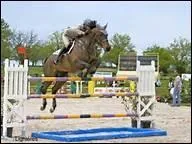 Comment traduit-on 'to land' en franais ?