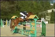 Comment traduit-on 'to ride the obstacle' en franais ?