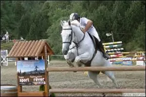 Comment traduit-on 'suspension' en franais ?