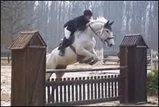 Comment traduit-on 'to walk the course' en franais ?