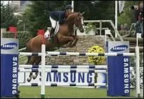 Comment traduit-on 'to jump closely' en franais ?