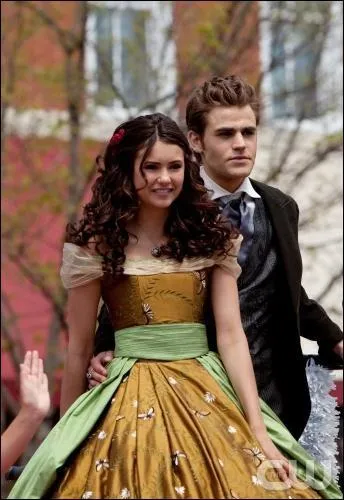 Comment s'est rencontré le couple Stelena ?