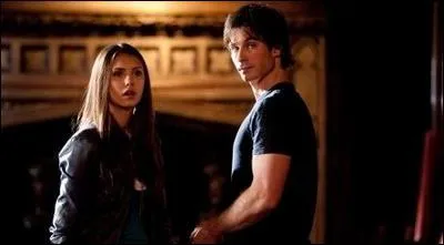 Qui est le frère de Stefan et amoureux d'Elena ?