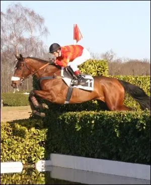 Comment s'appelle ce saut d'obstacle ?