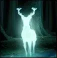 Que reprsente son patronus ?