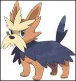 Comment s'appelle ce Pokmon ?