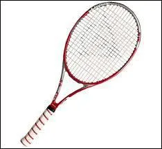 Quelle joueuse de tennis franaise est arrive en demi-finale  Roland Garros 2011 ?