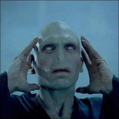 Quel tait le nom de baptme de Lord Voldemort ?