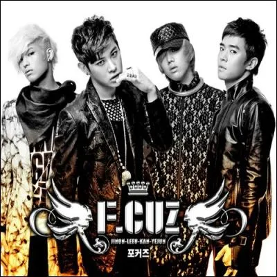 Comment s'appelle leur premier album ?