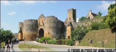 Vous aimez la gastronomie, l'histoire et les rivières enchanteresses ? Pour passer une bonne journée, je vous conseille une balade à Domme, Beynac, La Roque-Gageac et Sarlat. Venez visiter -------------- !