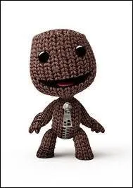 De quel jeu Sackboy est-il un personnage ?