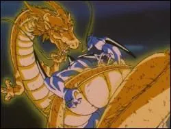 Comment s'appelle cette technique ?