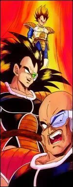 Comment s'appelle l'quipe de Vegeta, Radittz et Nappa ?