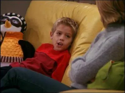 Ils ont jou dans 'Big Daddy' au cot d'Adam Sandler mais sont surtout connus pour les sries 'Zack et Cody' de Disney. Comment s'appellent ceux qui jouent Ben ?