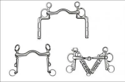 Comment s'appellent ces mors ?