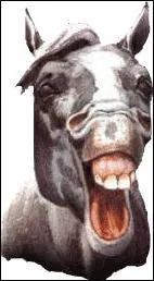 Pourquoi le cheval baille -t-il ?