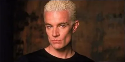 Qui interprète le rôle de Spike dans "Buffy contre les Vampires" ?