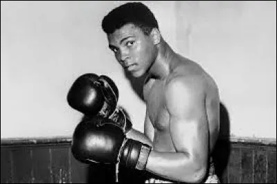 Mao Zedong, Jean-Paul II, Mohamed Ali, Michael J. Fox sont tous atteints par...