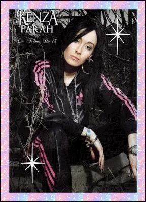 Quel style de musique chante t-elle ?