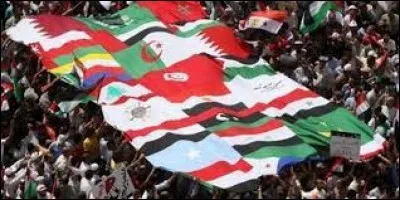 Le ''Printemps arabe'' est en cours : Tunisie, Égypte, Libye, Yémen, Syrie. Qu'est-ce qui est à l'origine du mouvement en Tunisie ?