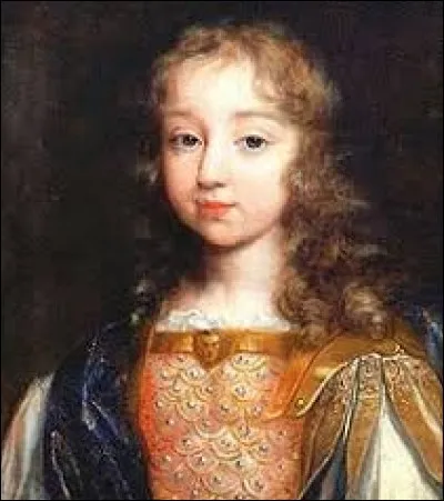 De 1648 à 1653, alors que Louis XIV est tout jeune, plusieurs révoltes de nobles éclatent. On appellera cela la Fronde. Contre qui était-elle dirigée ?