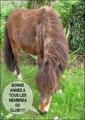 Dans la bulle du poney, que veut dire 'membre' ?