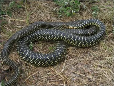 Pouvez-vous en citer au moins une ?