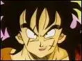 Dans quel manga peut-on voir Yamcha ?
