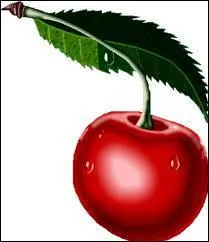 Quel est ce fruit ?