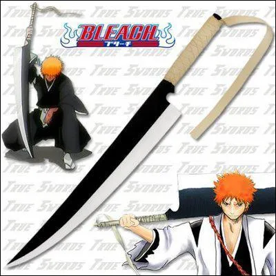 Comment s'appelle ce zanpakuto ?