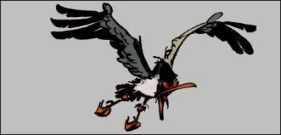 Cette mouette est associe  ... .