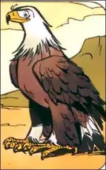 Cet aigle est grand, il se nomme donc 'Grand Aigle', on le retrouve dans ...
