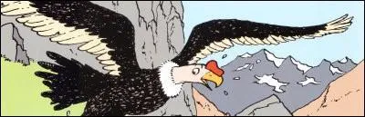 Quel hros se trouve sous ce condor ?