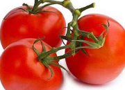 Quiz Autour de la tomate
