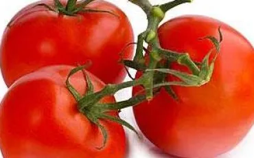 Quiz Fruits
