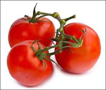 La tomate est un fruit-lgume qui est cultiv sous presque toutes les lattitudes. Ancienne 'pomme d'amour' ou 'pomme d'or', elle est originaire d'Amrique du Sud et appartient  la famille des ...