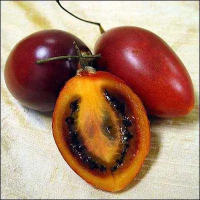 La tomate en arbre ou 'prune du Japon' est originaire d'Amrique centrale. Son fruit rouge ou jaune-orang renferme de nombreux ppins noirtres. Au march vous la trouverez sous l'appellation :
