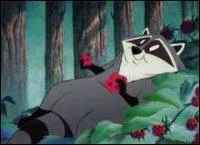 Quelle hrone accompagne-t-il ?