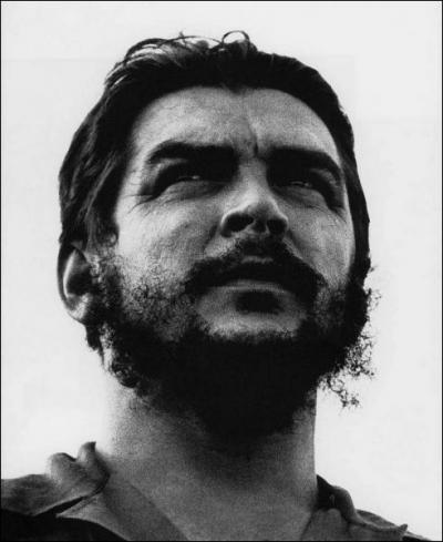 Quel acteur incarne Ernesto 'Che' Guevara dans un film ponyme en 2008 ?