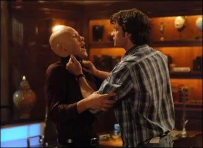 Dans quelle srie se trouve la scne ?