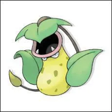 Quel est ce Pokmon ?