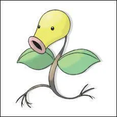 Quel est ce Pokmon ?