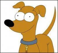 Quel est le numro de Petit Papa Nol lors de la course aux lvriers ?