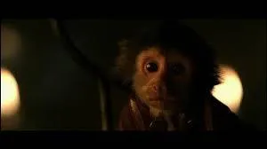 Que dit Jack quand il voit le macaque dans la bouteille accroch au voile du Black Pearl's ?