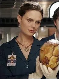 Quel est le travail de Brennan ?