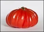 Quel est l'origine de la vraie tomate coeur-de-boeuf ?