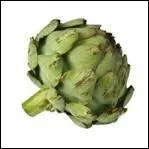 L'artichaut est un escellent diurtique grce  sa teneur leve en insuline et en potassium. Il est aussi riche en phosphore, calcium, magnsium, fer et vitamines B et C.