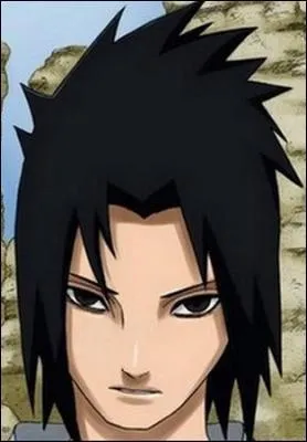 Quel(s) lment(s) utilise Sasuke ?